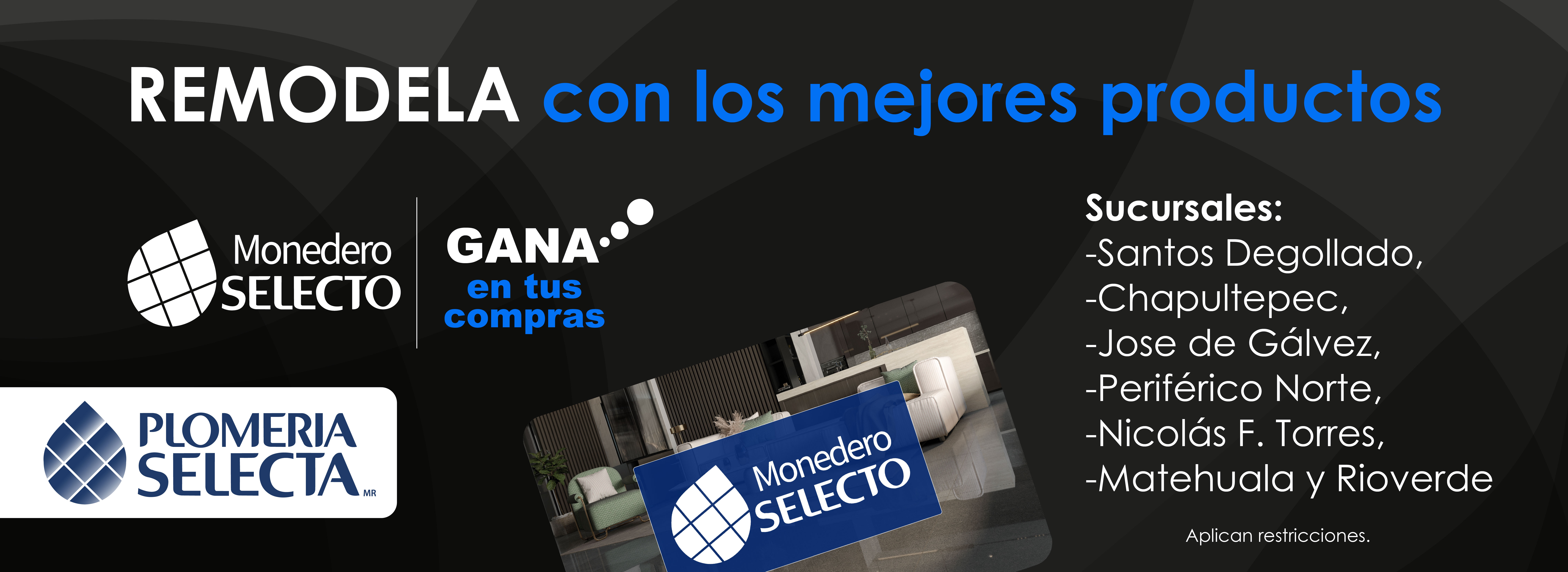 Plomeria selecta banners